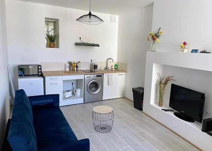 Le Cosy - T2 Avec Petite Cour Dans Centre Historique De Nerac
